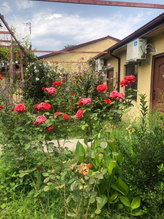 Hotel Villa Eniseli Bagian luar foto